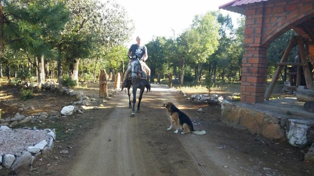 Rancho Cabanas San Isidro Cerocahuí المظهر الخارجي الصورة
